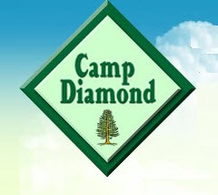 Websites Designed by Sales Success Consulting: Camp Diamond